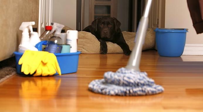 Колку често треба да се чисти домот?