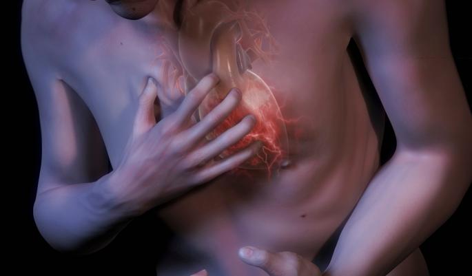 Синдром на старо срце: Kолку е здрав најважнiot мускул во телото?
