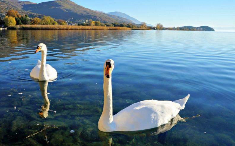 Измерен квалитетот на водата за капење на Охридско езеро, еве ги резултатите