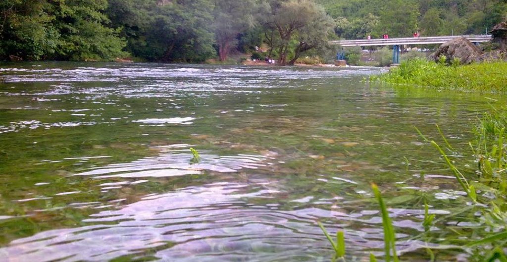 Жена се удави во Треска, се лизнала во реката додека шетала