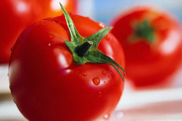 АХВ демантира дека државните органи дозволиле увоз на зеленчук со пестициди