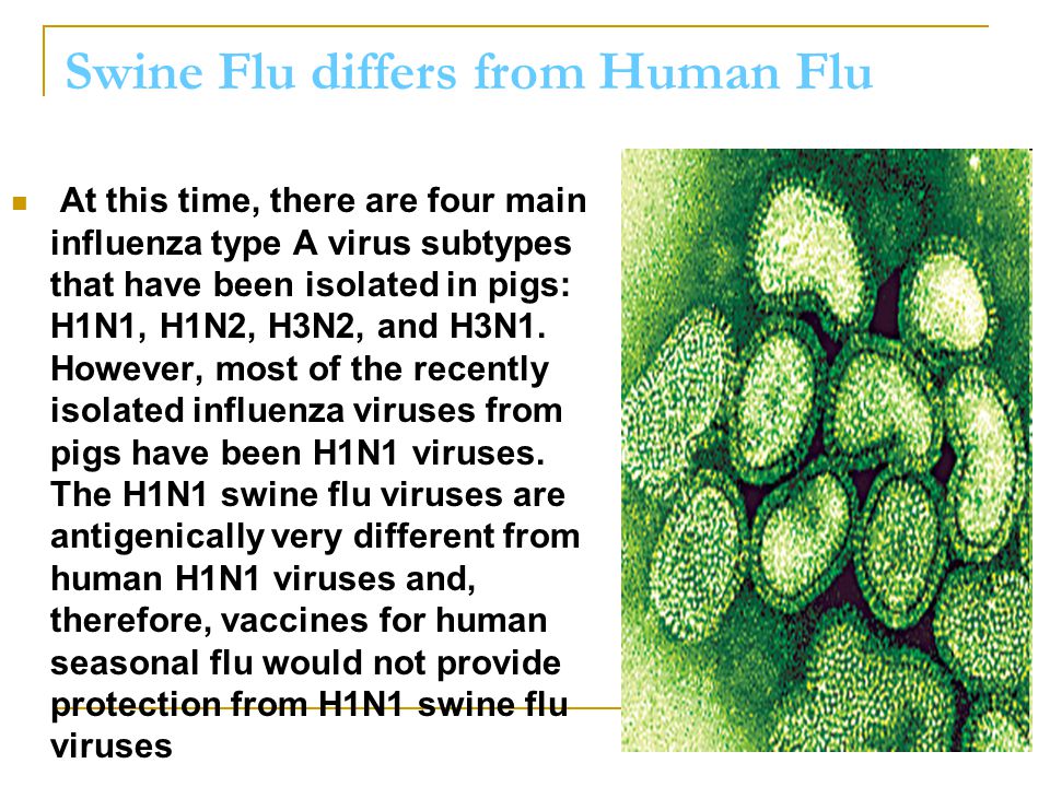 За неколку дена, две жртви од грип, надлежните без мерки за спречување