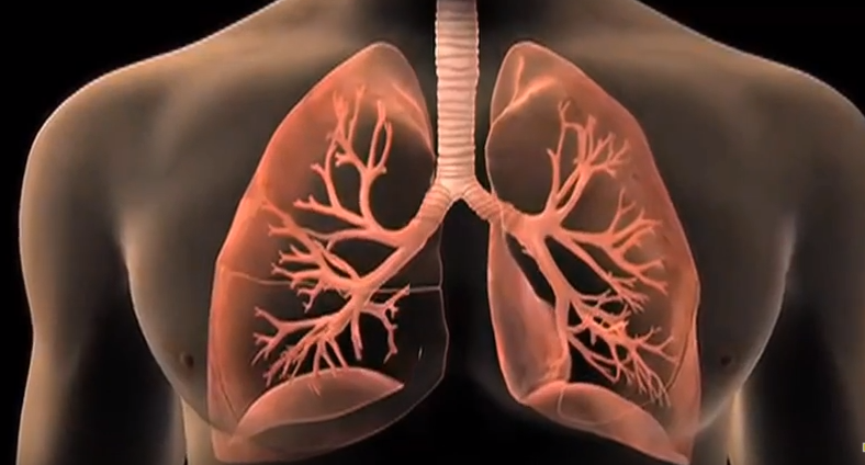 4 методи за чистење на белите дробови