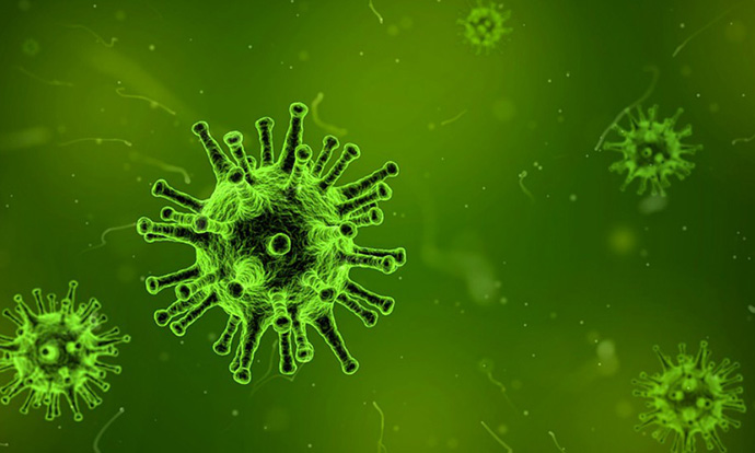 Научници во Јапонија открија нов вид на вирус