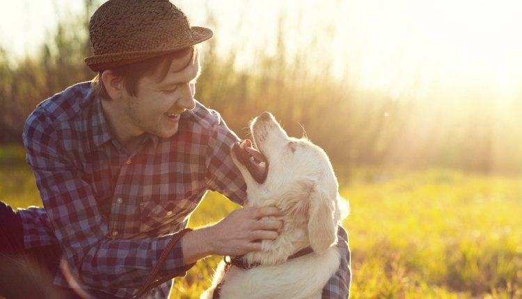 Чувањето куче го подобрува здравјето и го продолжува животот