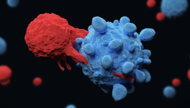 Научници открија начин за уништување на ракот: Лекот најверојатно е во човековото тело