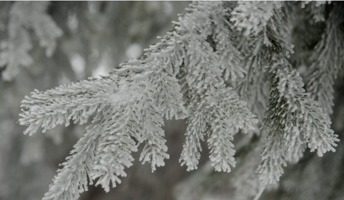 Најстудено во Берово со -11 степени, 11 сантиметри снег во Маврово