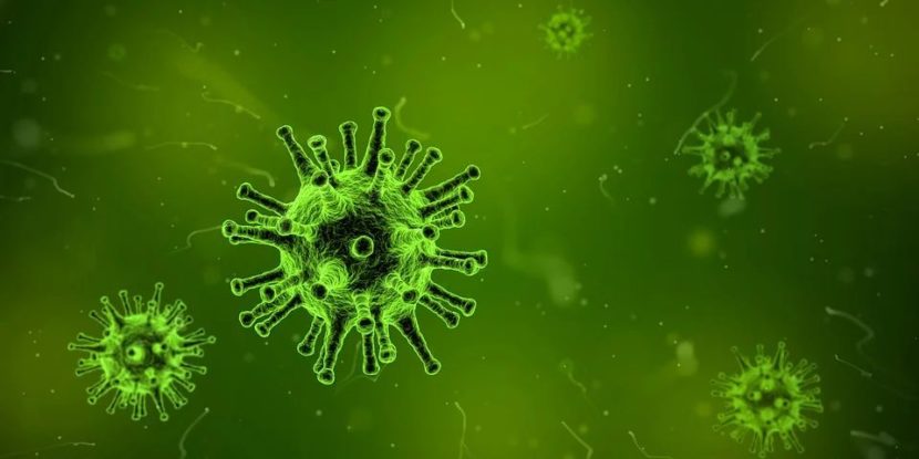 Вирусот што го исплаши светот. Што е коронавирусот и зошто е особено опасен за трудниците?