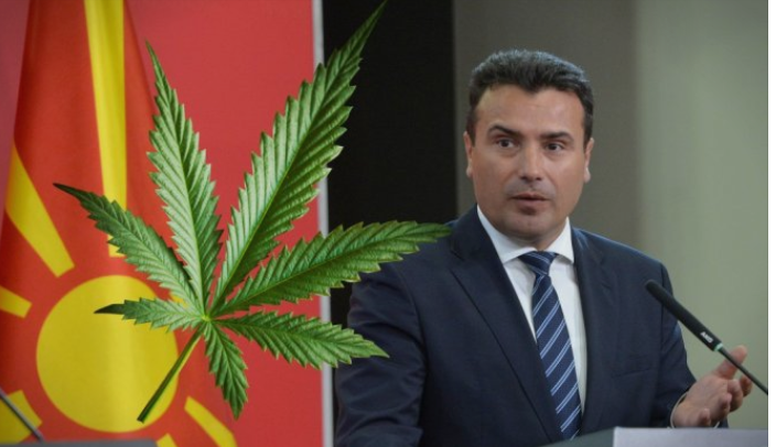 Зоран Заев доделил лиценца за канабис на идниот зет