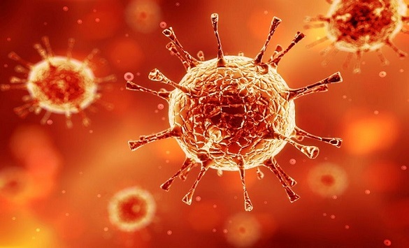 Нови 60 случаи на заразени со коронавирусот на крузерот „Дајмонд Принцес“