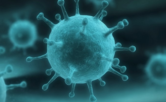 Италијански научници го изолираа новиот коронавирус