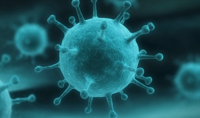 ФОТО: Рентген снимка покажува што им прави коронавирусот на белите дробови