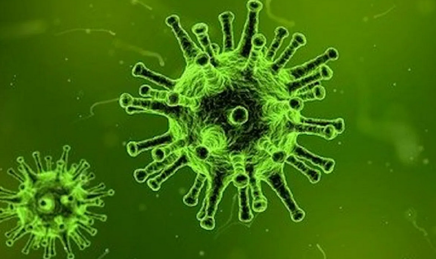Во Турција над 2.400 заболени од коронавирус