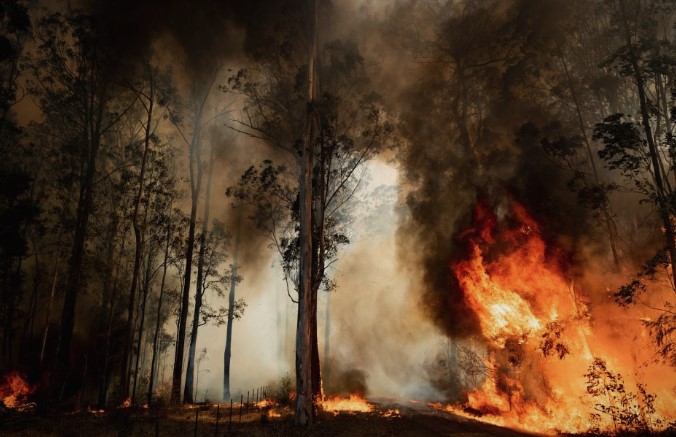 Австралија ќе издвои 650 милиони долари за руралните средини што настрадаа во катастрофалните пожари