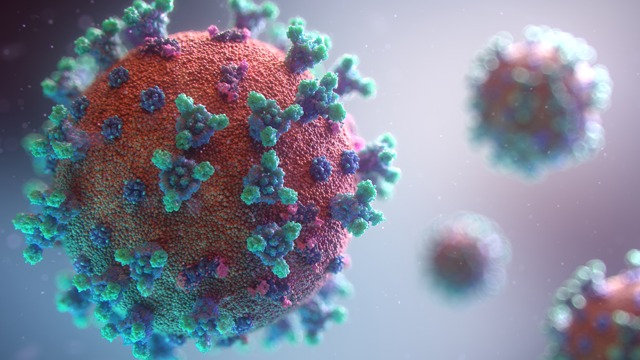 Вакцината за Ковид 19 дава позитивни резултати во Америка; СЗО: Доаѓа втор бран на пандемијата, не е време за прославување