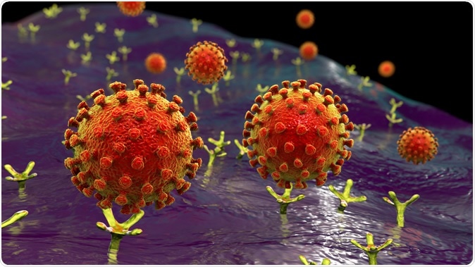 Најнови студии: Инфицираните клетки на имунолошкиот систем со Ковид-19 можат да предизвикаат тешка форма на болеста