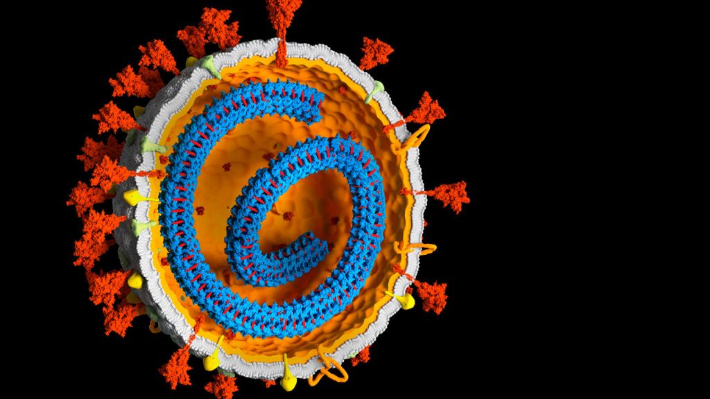 Еве што треба да знаете за делта сојот на коронавирусот