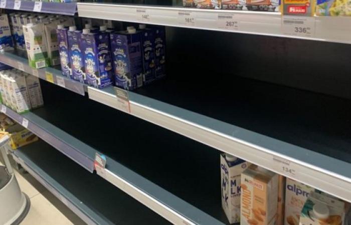 Поради недостиг на млеко во Србија, жителите на Врање прават залихи од Македонија