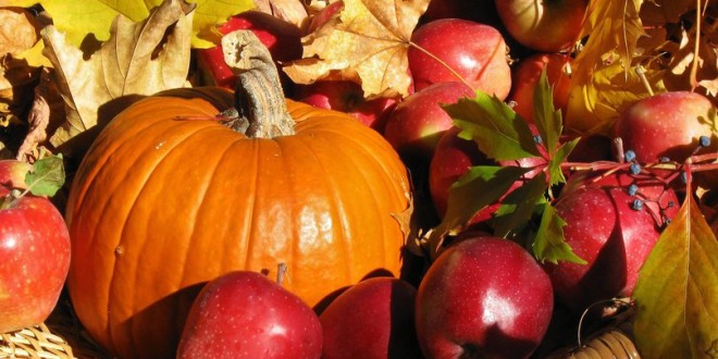 Уживајте во есента и подобрете го здравјето со вкусот на овие плодови