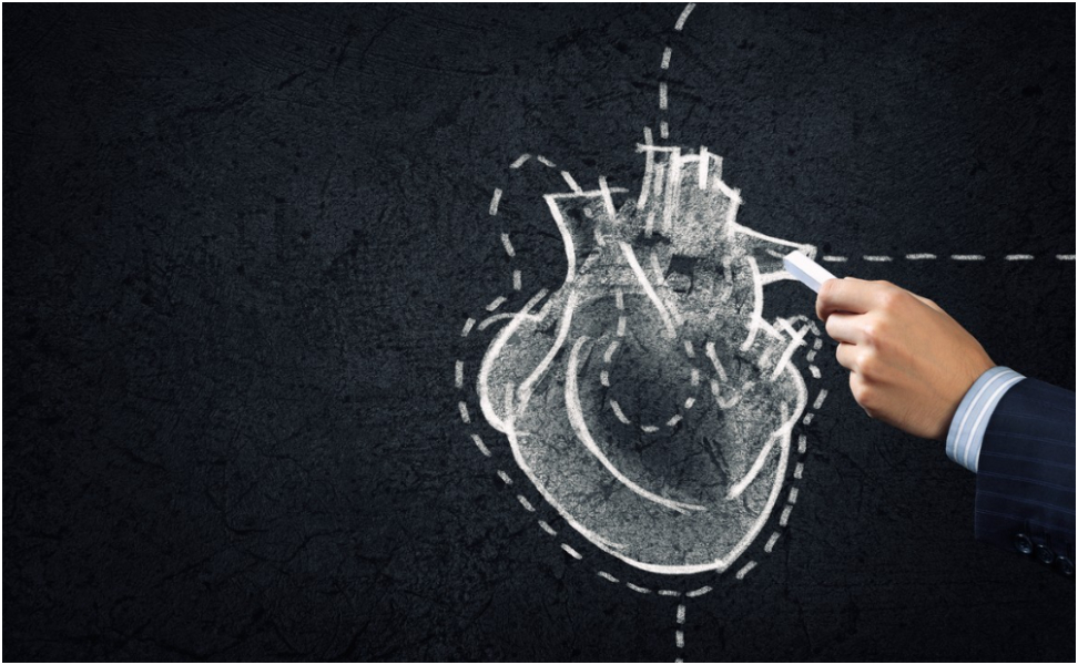 Револуција во медицината: Аортата е дефинирана како посебен орган во човечкото тело